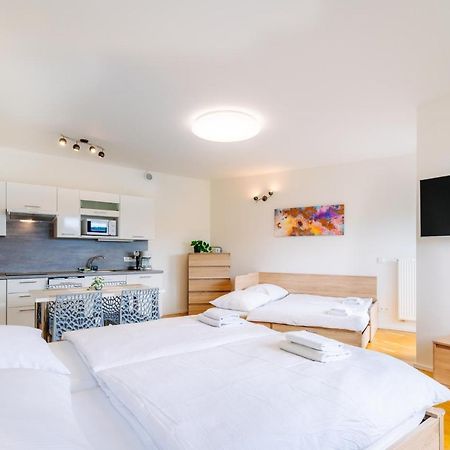 Loučná pod Klínovcem Horsky Apartman Temari 12 Klinovec מראה חיצוני תמונה